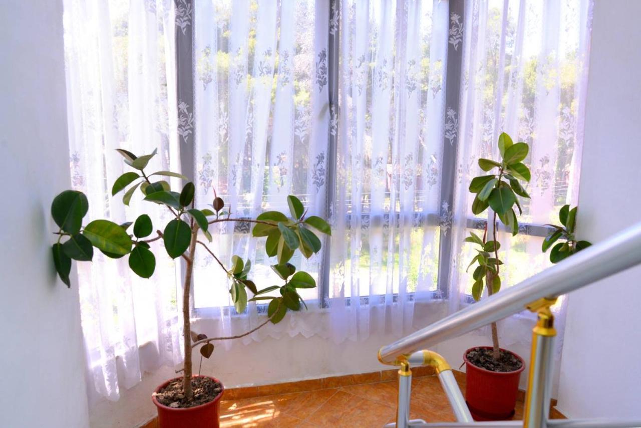 Vila Flamuri 格勒姆 外观 照片